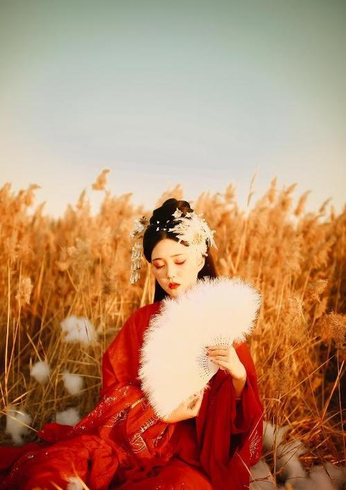 Elegant Girls in Traditional Hanfu, Girls in Hanfu Abroad-2