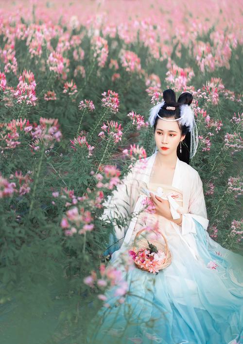 Traditional Chinese Clothing Drawing Materials, Hanfu and Lantern Festival Elements-3