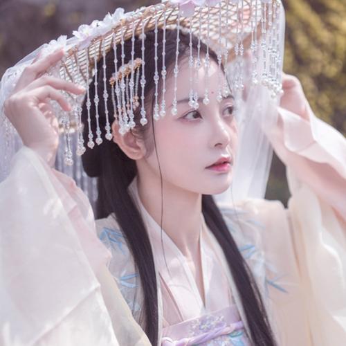 Ancient Costume Hanfu Beauty Buns, Ancient Costume Beauty in Hanfu