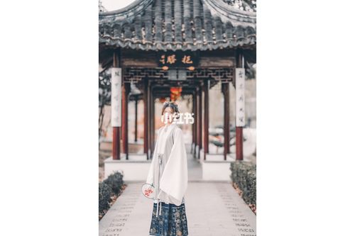 Hanfu Costumes that Reach the Waist, Pictures of Hanfu Costumes that Reach the Waist-3