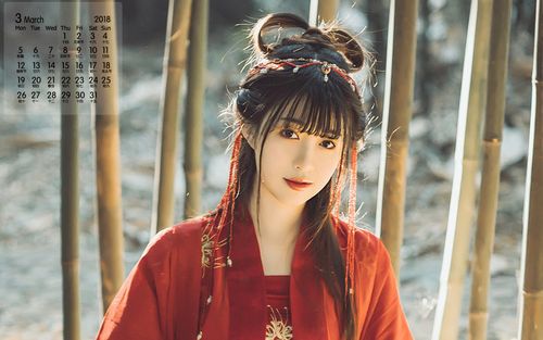 Hanfu in Ancient Style: Which Brands are Good and What Colors Suit Best?-3