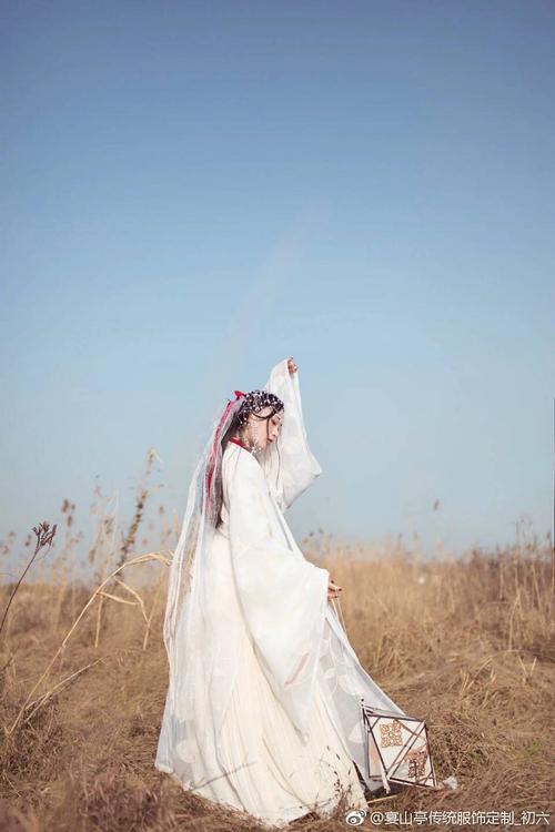 Ink-dyed Traditional Hanfu, Ancient Costumes, and Ancient-styled Dolls-3