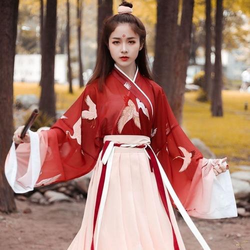 Hanfu Tang Style Dress with Chest-Level Ruqun-1