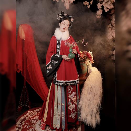 Hanfu, Traditional Chinese Clothing in China, Beauty in Traditional Chinese Attire