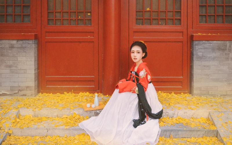 Is all ancient clothing called Hanfu? Some say Hanfu is not ancient costume.-2