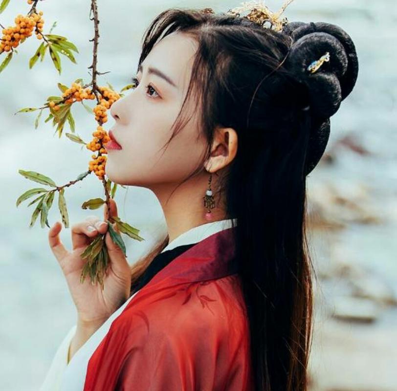 Free Traditional Hanfu Clothing, Websites for Free Traditional Hanfu-3