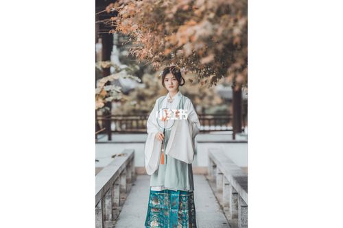 Girls' Summer Ancient Style Hanfu Set, Summer Children's Ancient Style Hanfu Set-2