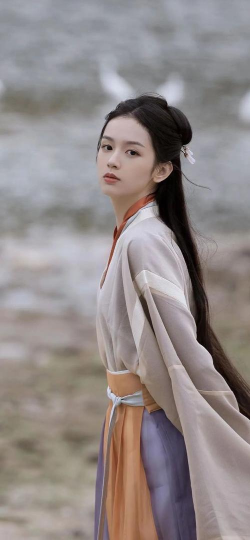 Hanfu for Ancient Style Photography Studio, Difference Between Hanfu and Ancient Style Studio Costumes-1