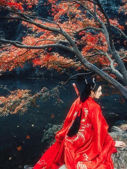 What Types of Hanfu Look Good, and What Are Some Good-looking Hanfu Options?-3