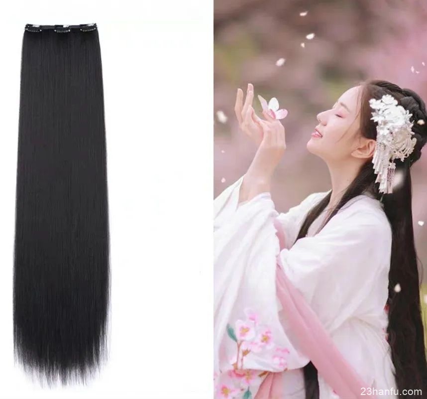 【Hanfu Hairstyles】A Must-Have Guide for Wig Wearers!-5