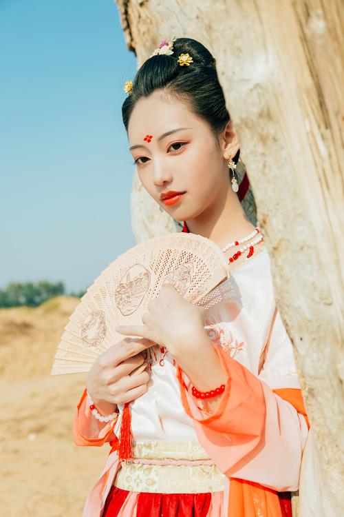 Hanfu Ancient Costume for the Empress, Traditional Hanfu Wedding Dress for the Empress-2