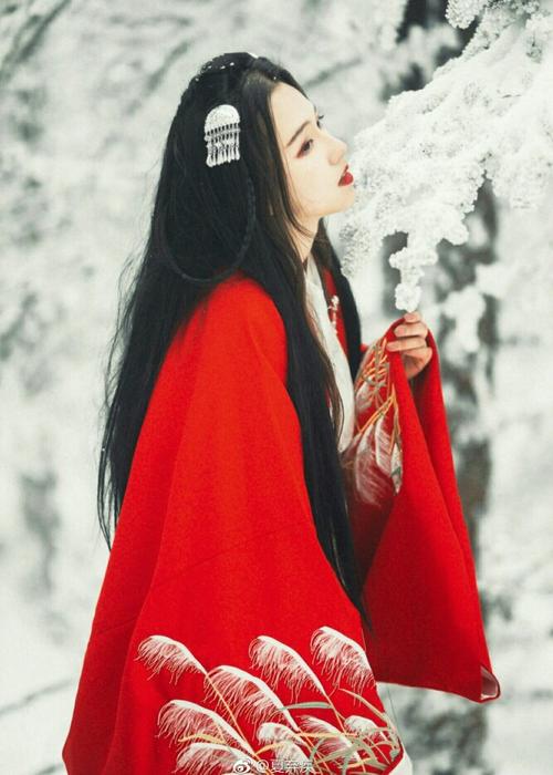 New Style Ancient Chinese Costume for Women, New Style Ancient Chinese Costume for Women Images-2