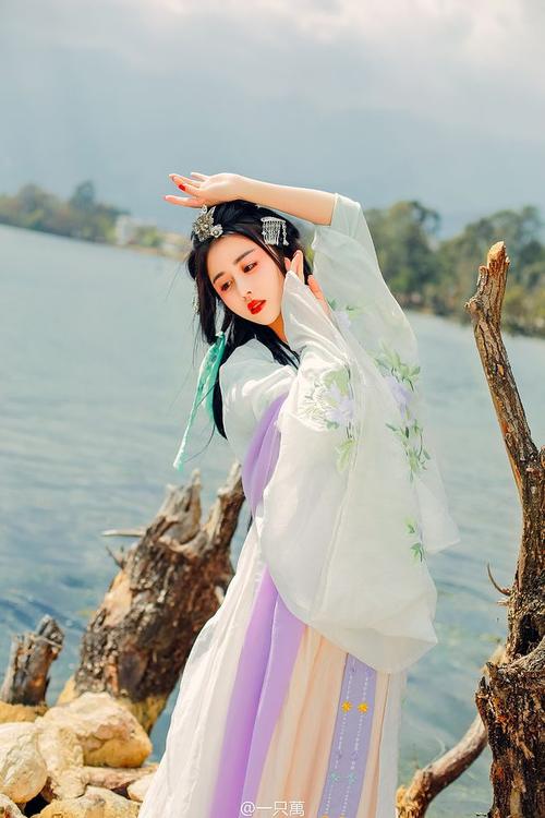 Hanfu Ancient Costume Hairstyles Without Hair Buns, Hanfu Hairstyles Without Hair Buns and Headbands in Ancient Style-2