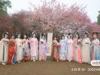 Why Some Chinese People Choose to Wear Hanfu: A Look at the Reasons Behind the Trend