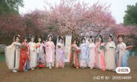 Why Some Chinese People Choose to Wear Hanfu: A Look at the Reasons Behind the Trend