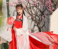 Does Hanfu Only Refer To The Han Dynasty Clothing?