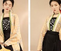 Hanfu Recommendation | Fashionable Modern Hanfu of Song Dynasty 2021