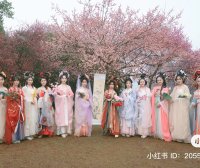 Why Some Chinese People Choose to Wear Hanfu: A Look at the Reasons Behind the Trend