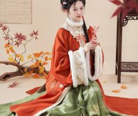 Exploring Hanfu in the Ming Dynasty