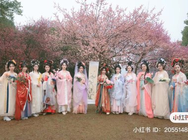 Why Some Chinese People Choose to Wear Hanfu: A Look at the Reasons Behind the Trend