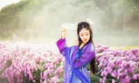 Hanfu Costume Fashion: Plus Size Hanfu Costume Wear