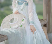 Tang Dynasty Hanfu VS Ming Dynasty Hanfu: A Contest of Tradition and Innovation