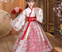 Rabbit Themed Hanfu Costumes, Round Face with Ancient Chinese Costume