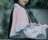 Hanfu and Traditional Costumes