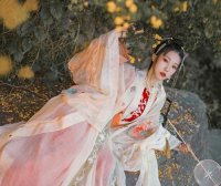 Traditional Hanfu for Girls, Super Fairy-like Children’s Costumes