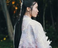 Hanfu with Wei Jin Style, Traditional Clothing with Wide Sleeves from the Wei Jin Era