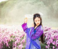 Hanfu Costume Fashion: Plus Size Hanfu Costume Wear