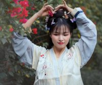 Ancient Costume Hanfu Hairstyle Love, Ancient Costume Hairstyle