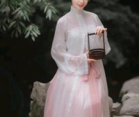 Traditional Hanfu Gauze Skirt Outfit, Ancient Hanfu Adult Consort Gauze Skirt