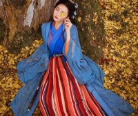 Hanfu, Traditional Han Chinese Clothing, and Everyday Wear