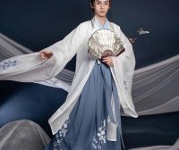 Guzhuang Hanfu Dirtiness, Hanfu Guzhuang Hanfu