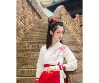 Hanfu with an Ancient Romance Aesthetic: Hanfu and the Ancient Style