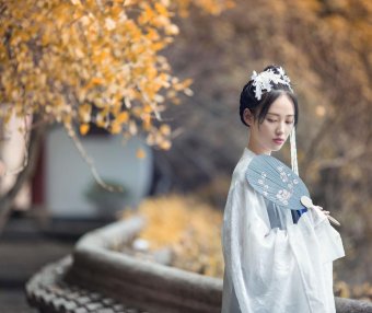 Winter Guzheng Hanfu for Women’s Daily Wear, Winter Warm Hanfu