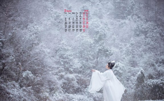 Ming Dynasty Hanfu – The Legend of the Female Doctor and Imperial Consort